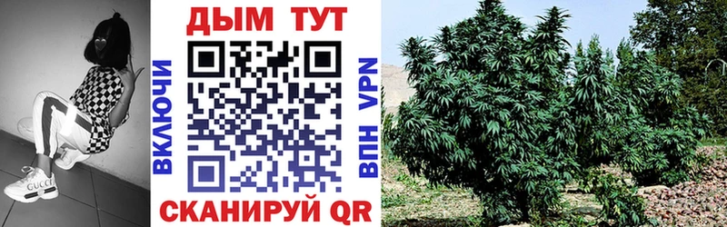 Конопля SATIVA & INDICA Зверево